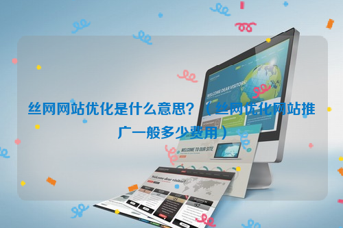丝网网站优化是什么意思？（丝网优化网站推广一般多少费用）